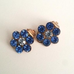 blue clip ons